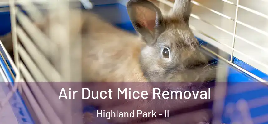  Air Duct Mice Removal Highland Park - IL