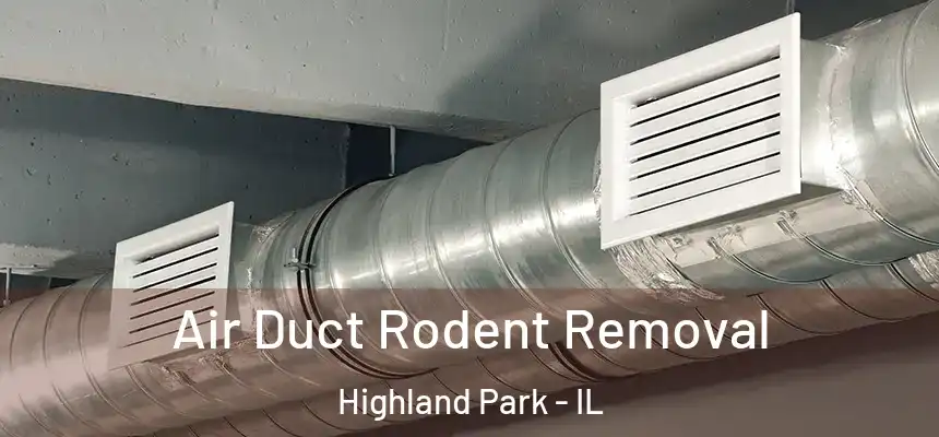  Air Duct Rodent Removal Highland Park - IL