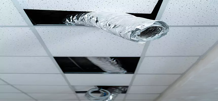 Our Air Duct Pet Hair Removal Services in Highland Park, IL