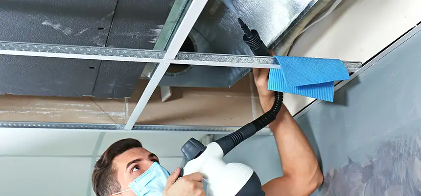 Our Air Duct Rodent Removal Services in Highland Park, IL