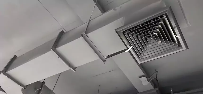 Restorative Allergy Relief Vent Cleaning – Coil, Blower & Housing Detail in Highland Park