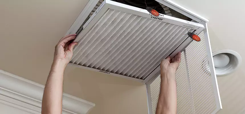 Our Insect Removal from Air Ducts Services in Highland Park, IL
