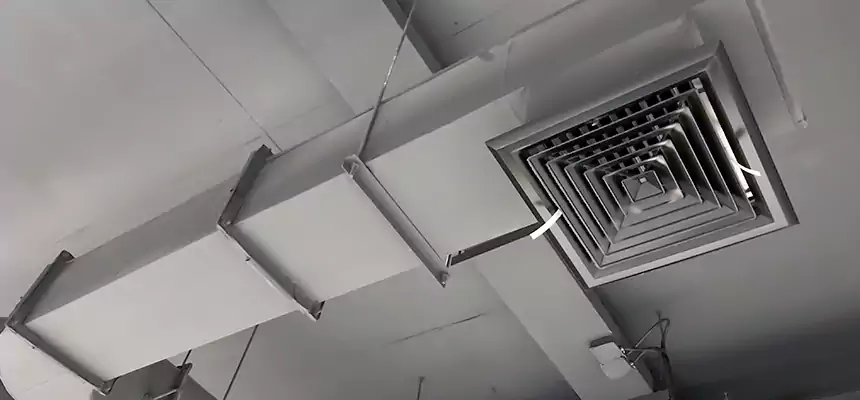 Our Pest Removal From Ducts Services in Highland Park, IL