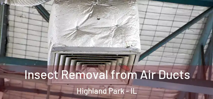  Insect Removal from Air Ducts Highland Park - IL