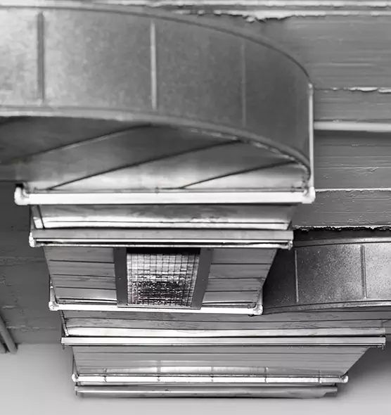 Professional Air Duct Pet Hair Removal in Highland Park, IL