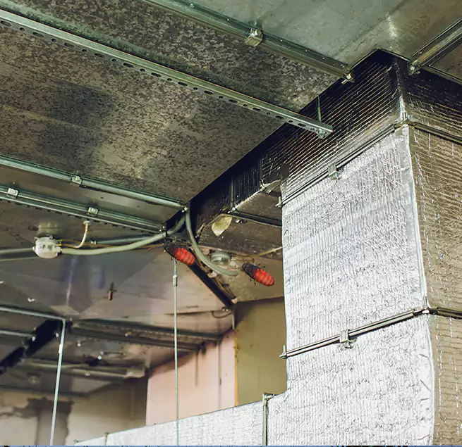 Why Homeowners & Businesses Trust Us in Highland Park, IL?