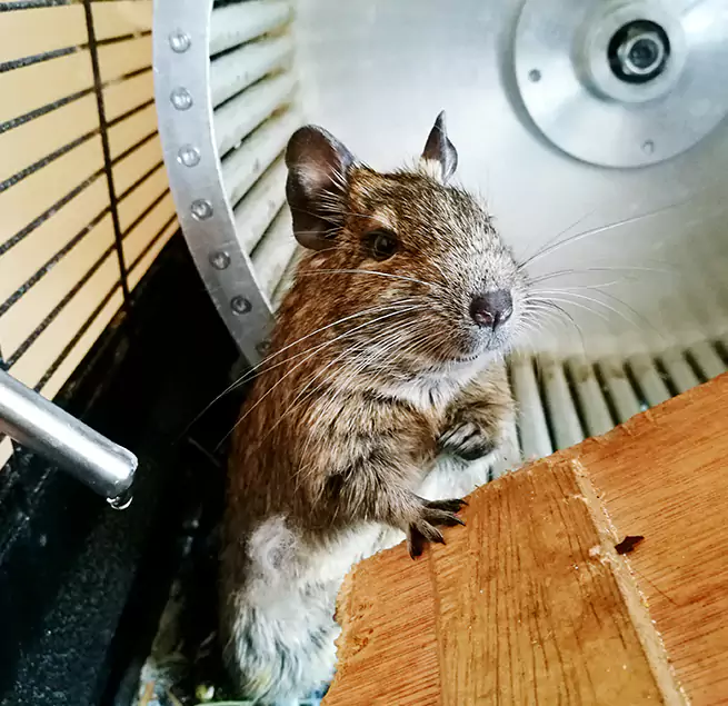 Why Homeowners & Businesses Trust Us Highland Park, IL?