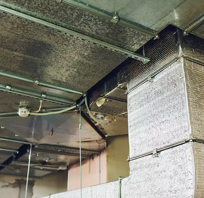 Why Homeowners & Businesses Trust Us in Highland Park, IL?